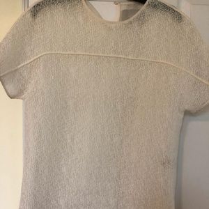 Jason William's Sheer Top